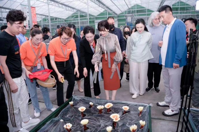 浙江AG庄闲医药股份有限公司